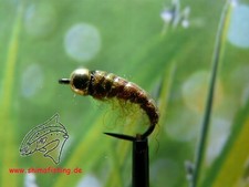 Nymphe  Brown Olive Shrimp  , 3er Set, auf Sc...