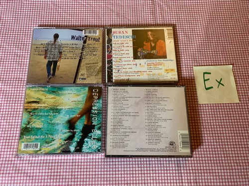 Blues 27 Cd Lot: James Hunter, Walter Trout, Comps, Delta, Depression, JL Hooker - Picture 9 of 13