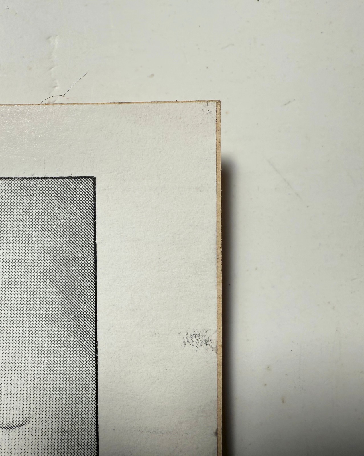 Original 1981 1982 Motley Crue Too Fast Live Wire BOY HOWDY BEER promo sticker