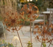 Edelrost Pusteblumen rostig Garten Deko Landhaus Gartenstecker Beetstecker Rost