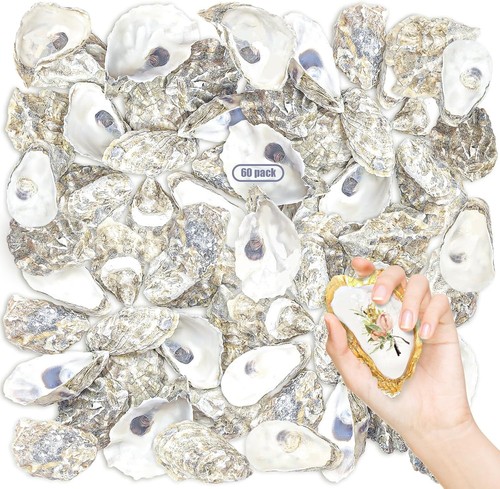 60PCS Oyster Shells 4"-5" Bulk Large for Home...