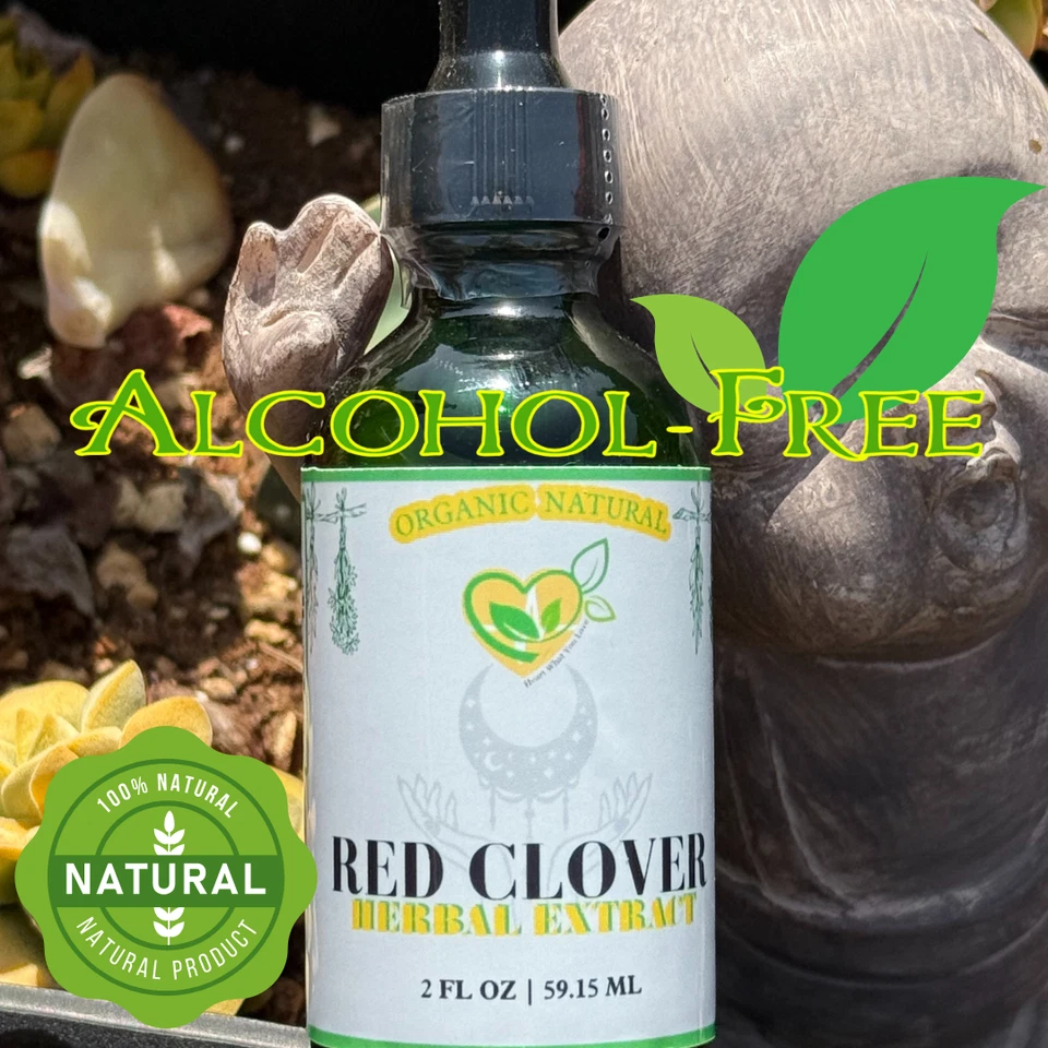 Extracto de hierbas sin alcohol de trébol rojo 2 oz | Desintoxicación natural y apoyo hormonal Foto 2 de 4