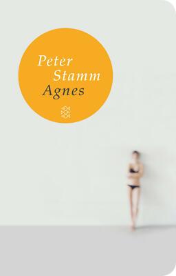 Agnes von Peter Stamm (2011, Taschenbuch)