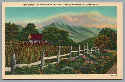 Sharp Top Mountain Great Smoky Mountains National Park Postcard