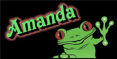 Personalized Monogrammed Custom License Plate Auto Car Tag Frog