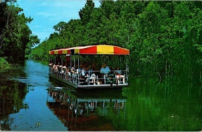 Homosassa Springs FL postcard SCENIC BOAT RIDE TOUR NATURE'S OWN j/17 BK4845