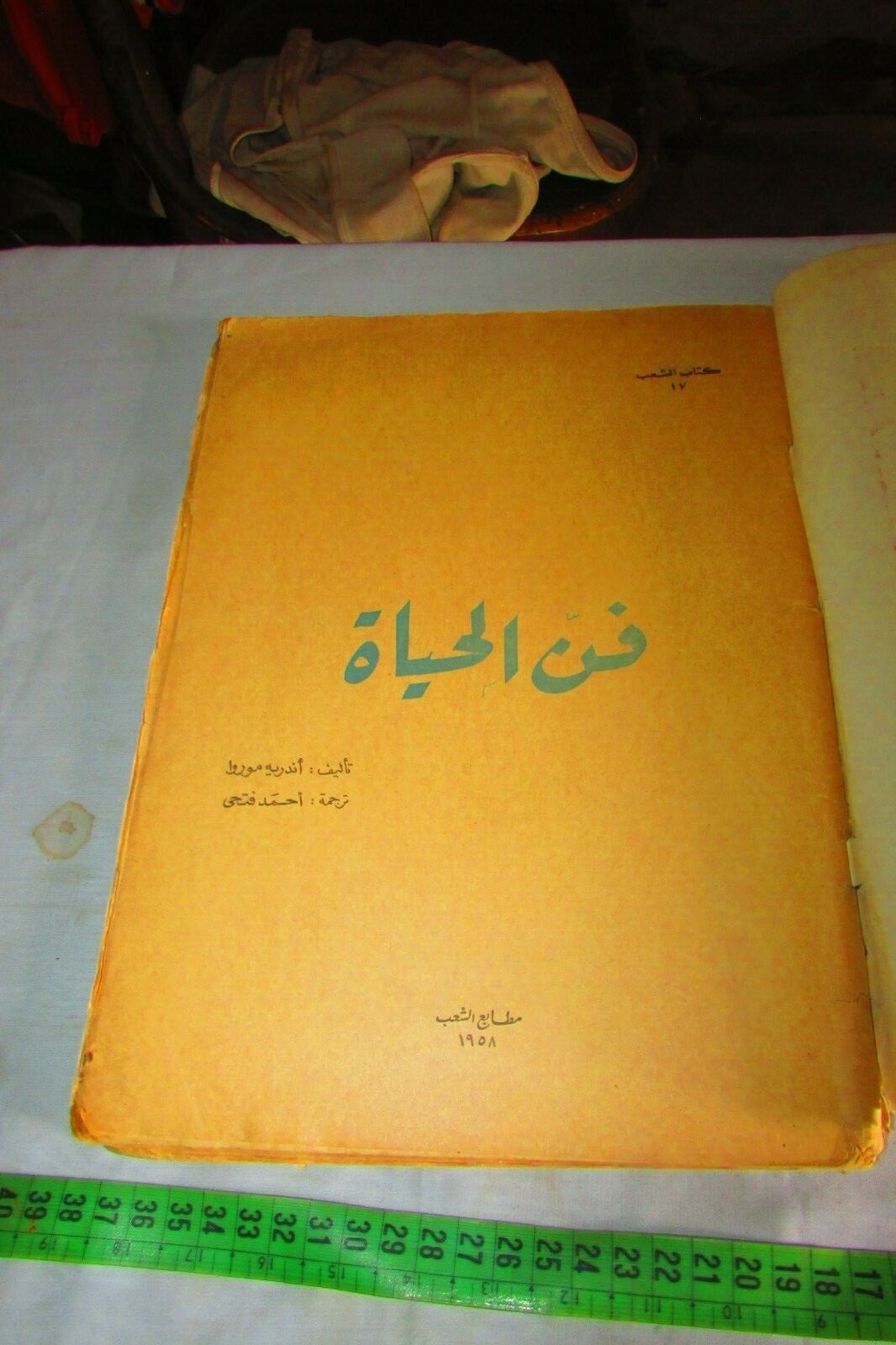Picture 3