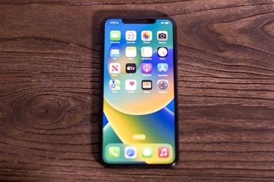 Apple iPhone 11 Pro Max - 256 GB - Space Gray (Unlocked) for sale