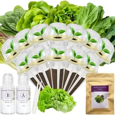 Salad Greens Seed Pod Kit for AeroGarden, iDoo, Ahopegarden, MUFGA with Red/G...