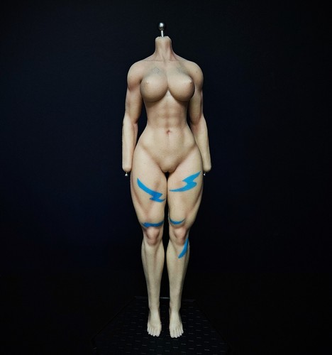 Hot Toys 🔥Fighting Female Cammy (Version B) - Body Only w/ Feet & Tattoos
