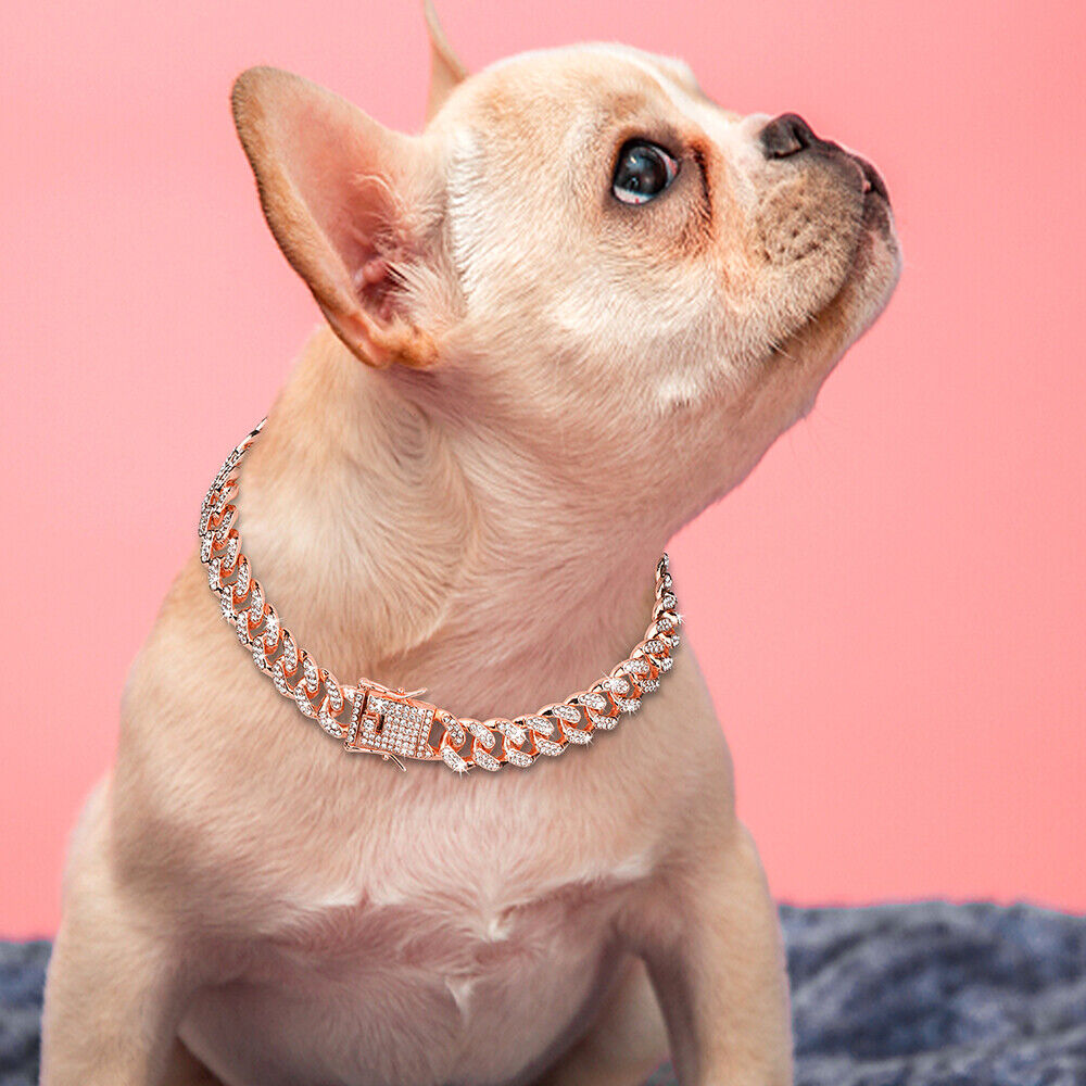 Cuban Chain Dog Gold Rhinestones Collar Pitbull Necklace Choker Dog Collars  New