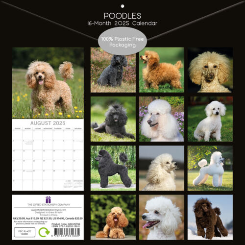 Poodles - 2025 Square Wall Calendar Dogs Pets Animals 16 Months Premium Planner - Picture 2 of 4