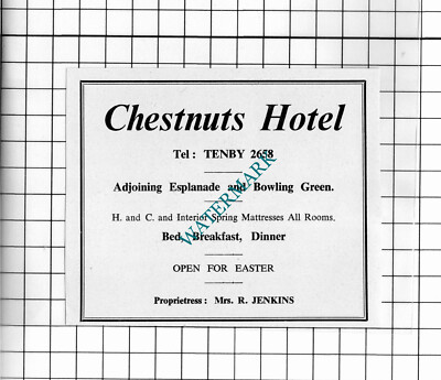 Chestnuts Hotel Tenby Wales Mrs R Jenkins kleine Anzeige - 1962 Steckling