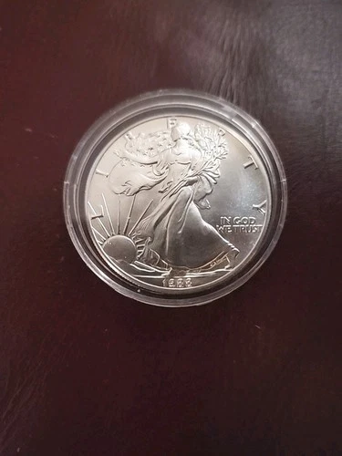 1988 Uncirculated American Silver Eagle US Mint Issue 1oz Pure Silver #N315