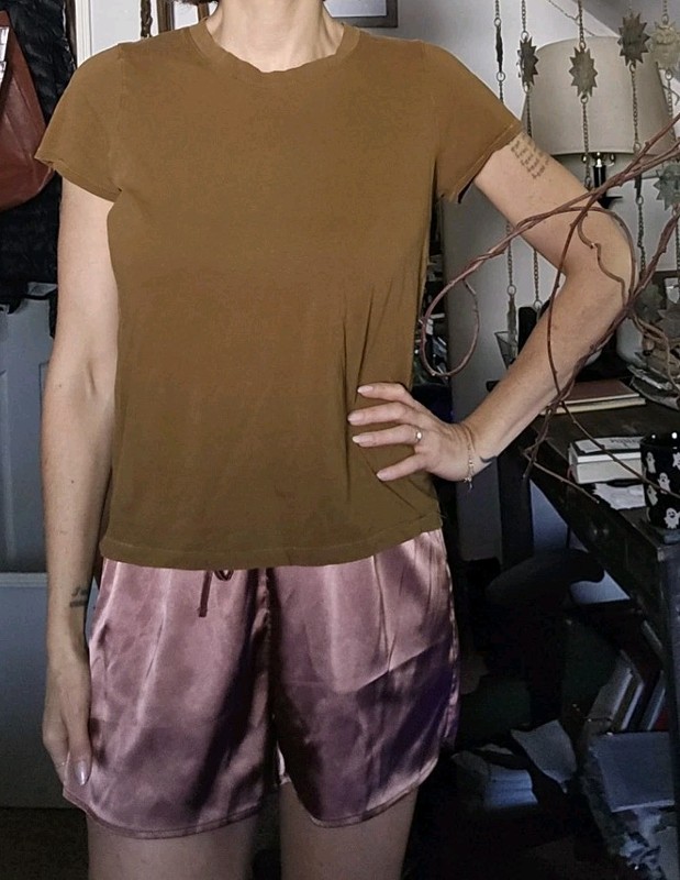 Madewell Brown Tshirt Size Xs