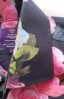 Bild 7 von 10