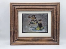 Vtg Frederick Sweney American Golden-Eye Color Etch Print 12.5"x14.5" Cabincore