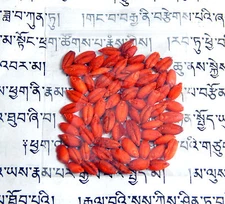 Blessed Tibetan Buddhist Nechung Dalai Lama Oracle Prevent Flood DEATH Amulet