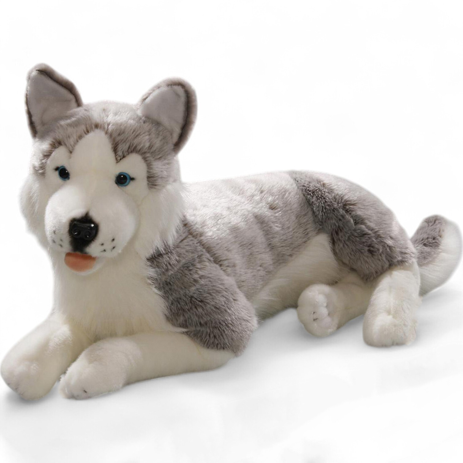 Carl Dick Husky lying approx. 60cm 2703 Cuddly toy, plush toy, stuffed toy