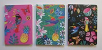F Tropical Mix Set Of 3 Notebook Journal Blank Book 80 Pg Each Roger La Borde F Tropical Mix Set Of 3 Notebook Journal Blank Book 80 Pg Each Roger La Borde