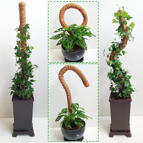 2 Pack Moss Pole, 28 Inch Bendable Moss Pole for Plants Monstera, Moss Poles - Picture 6 of 7