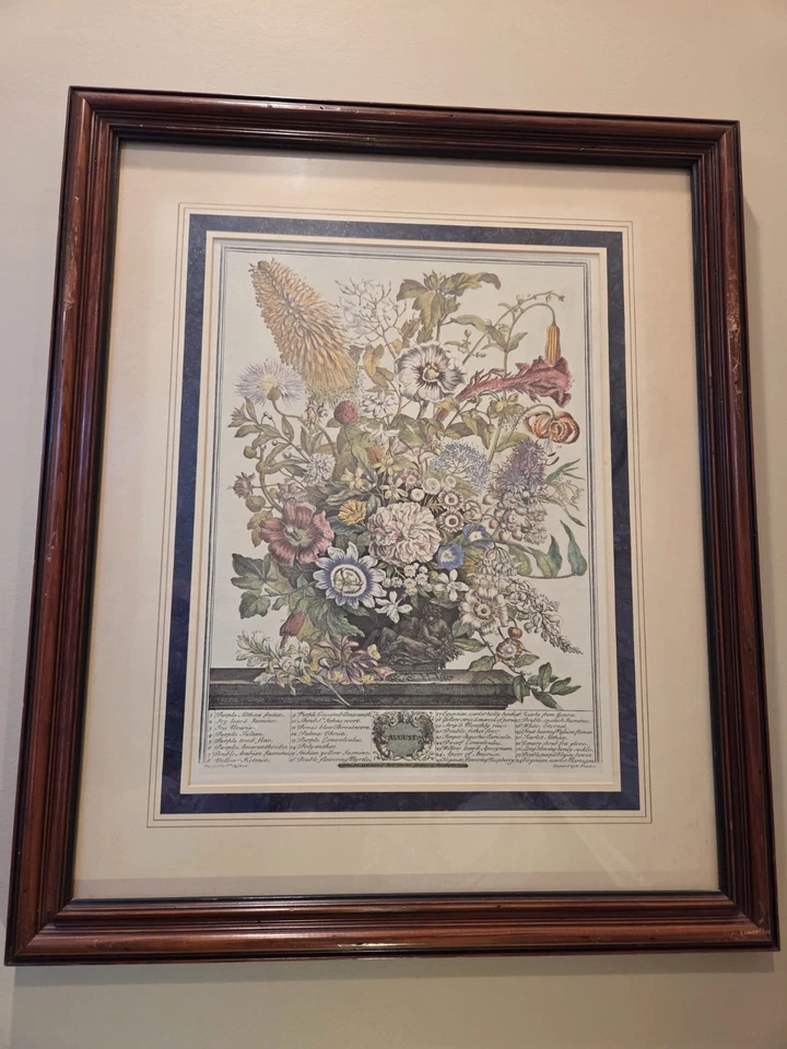 Robert Furber Vintage Estampa 12 Meses de Flores Janeiro e Agosto Lote de 2 Grandes - Imagem 3 de 4