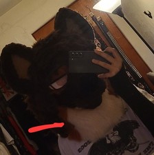 MQ FURSUIT FOR SALE HEAD ONLY SAVING FOR A 2.0 PLEASE CHANGE EYES AND MUSTACHE