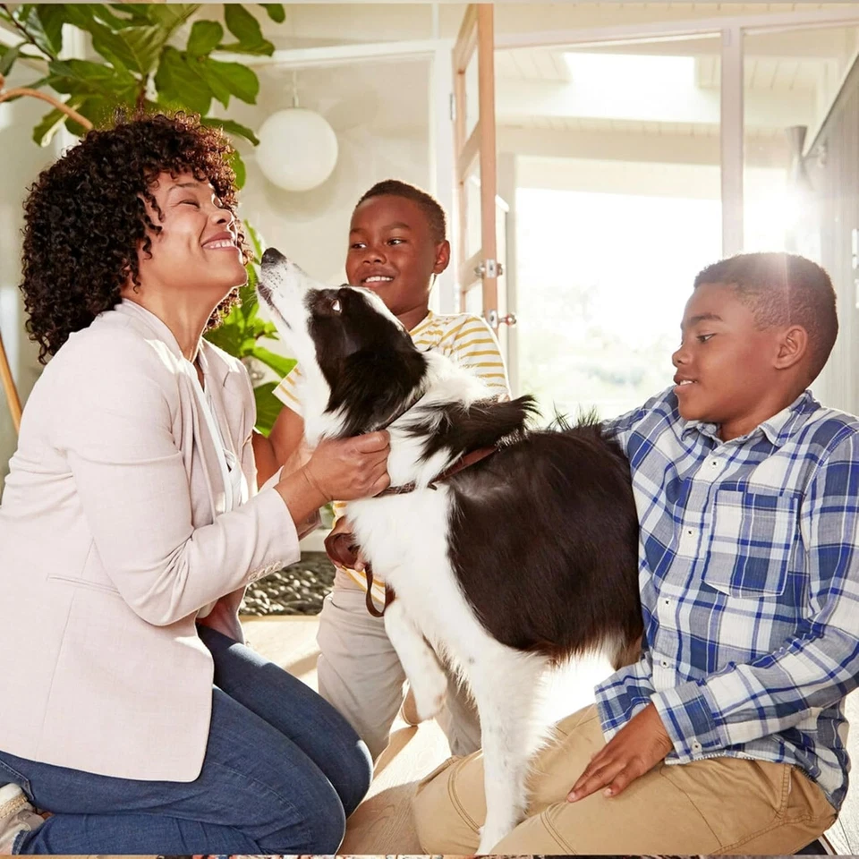 6-Pack 24x30x1 MERV 13 Electrostatic Filters - Bacteria & Allergen Protection - Image 4 of 4