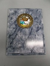 lamp of knowledge trophy award blue 6 x 8 plaque