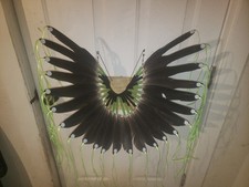 Native American Style, Bustle, Regalia, Pow-Wow