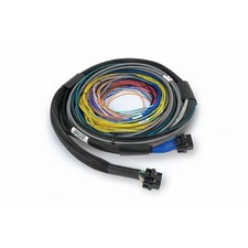 Haltech Nexus S2s3 Universal Wire-in Harness Kit - 2.5m 8ft Ht-182200