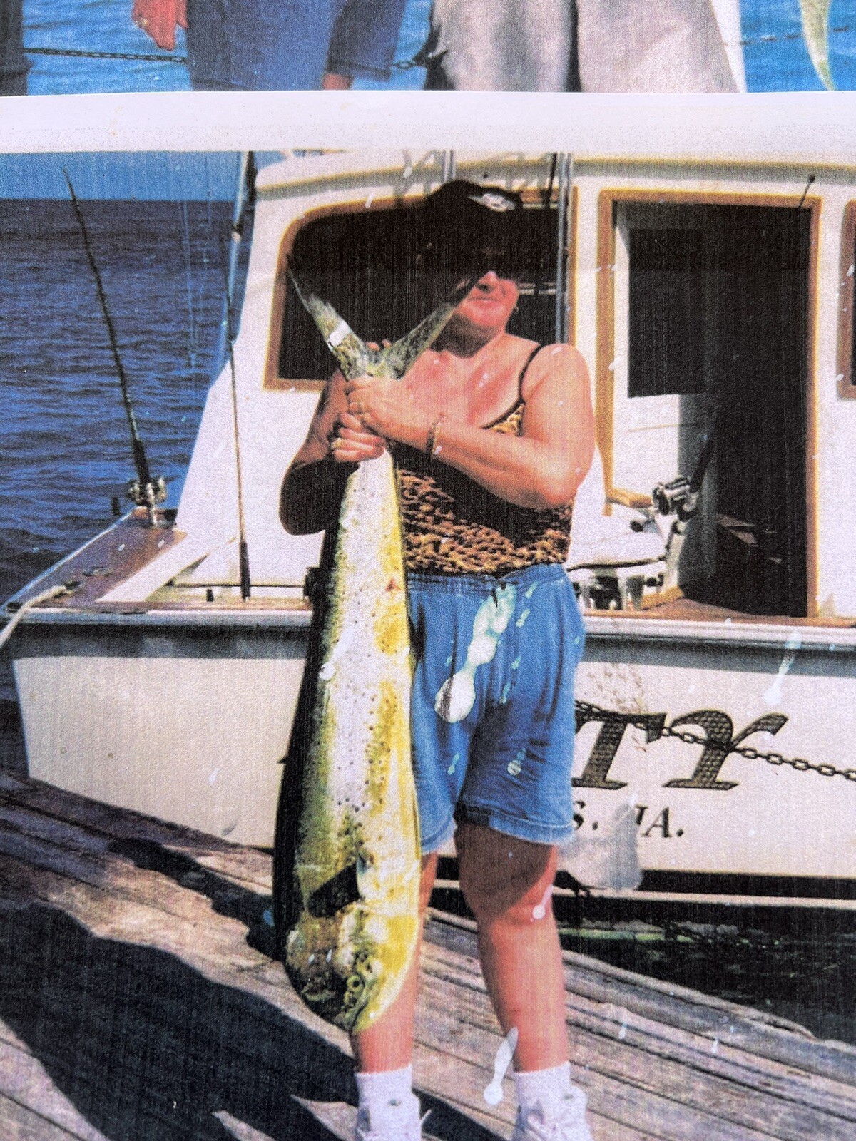 mahi mahi cow fish (girl) fiberglass mount caught 15 off coast of