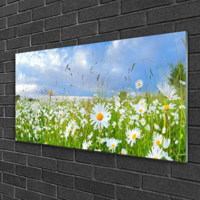 Tulup Image sur verre Tableau Impression 100x50 Herbe