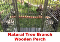 Large Stylish Open Dome Play-Top Perch Stand Parrot Macaw Cockatoo Rolling Cage 6