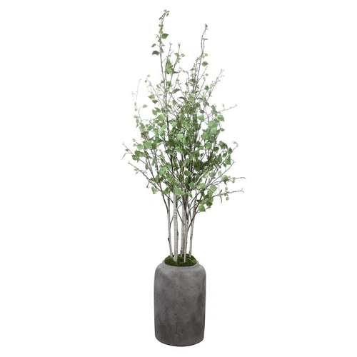 Uttermost Aldis Potted River Birch - Picture 1 of 1