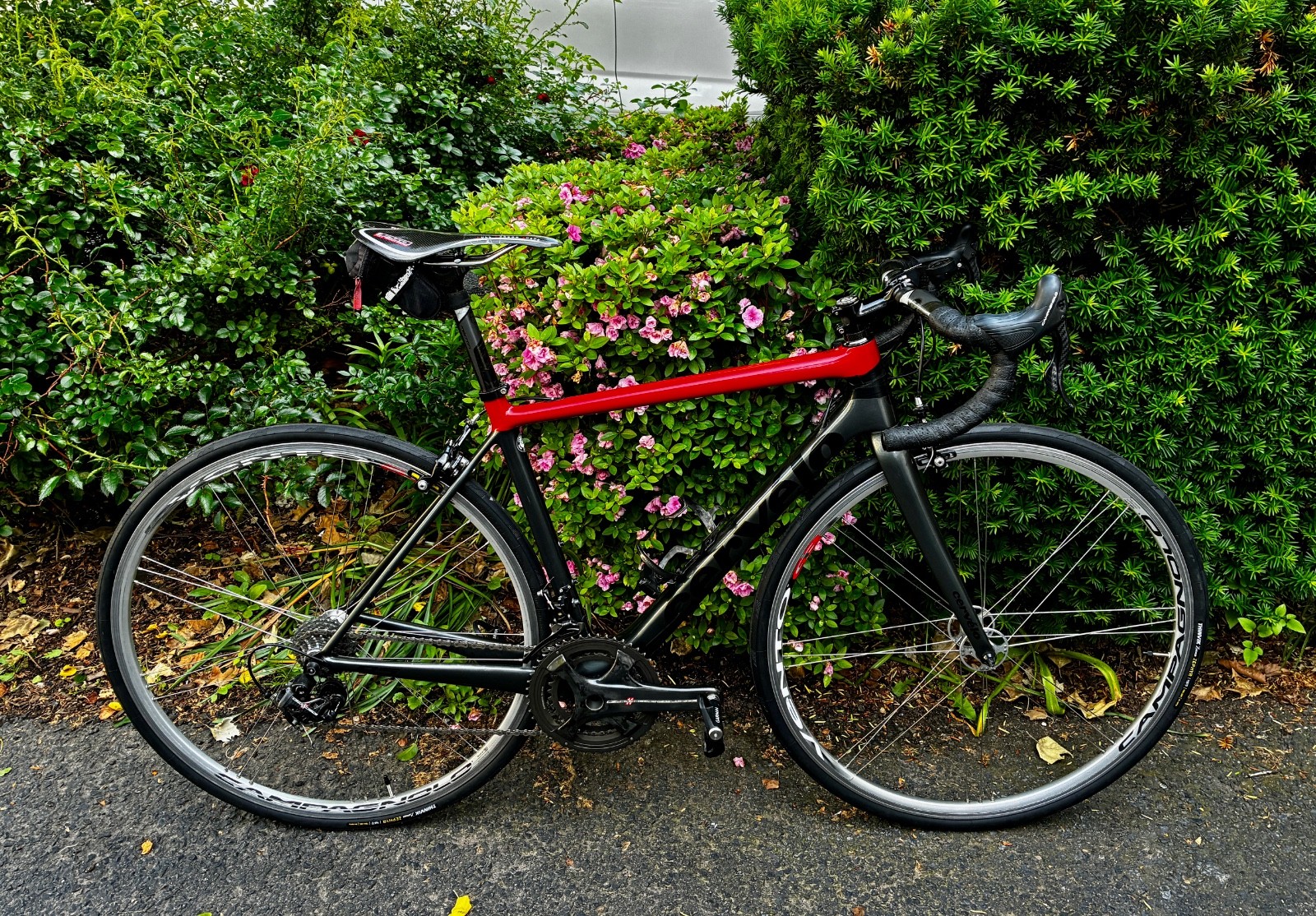 2016 Cervelo Carbon R5 Campagnolo 10 Speed Super Record Size 51cm