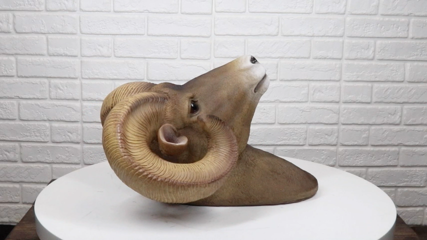 Ram Head Bust Sculptural Wall Hanging by DWK 15