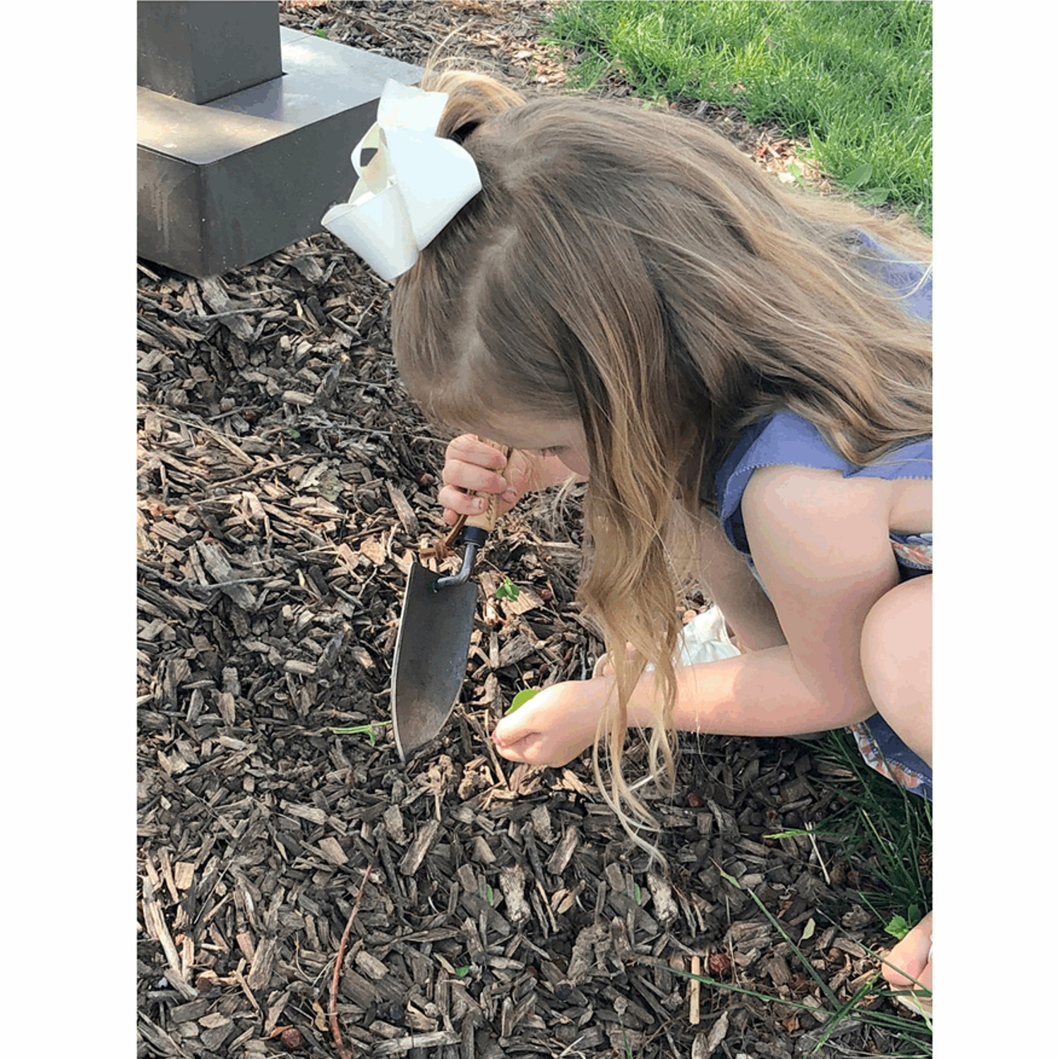 DeWit Junior Planting Trowel, Boron Steel 9.5 In Long Ash Wood Handle