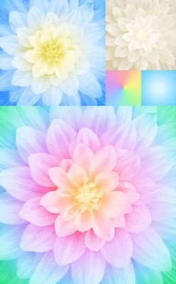 26'' X 44'' Panel Kablooms Floral Flowers Dahlias Floral Cotton Fabric D141.17
