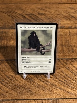 LIFE TCG Brown Headed Spider Monkey 1st Edition Rare Non Holo #10/100 NM