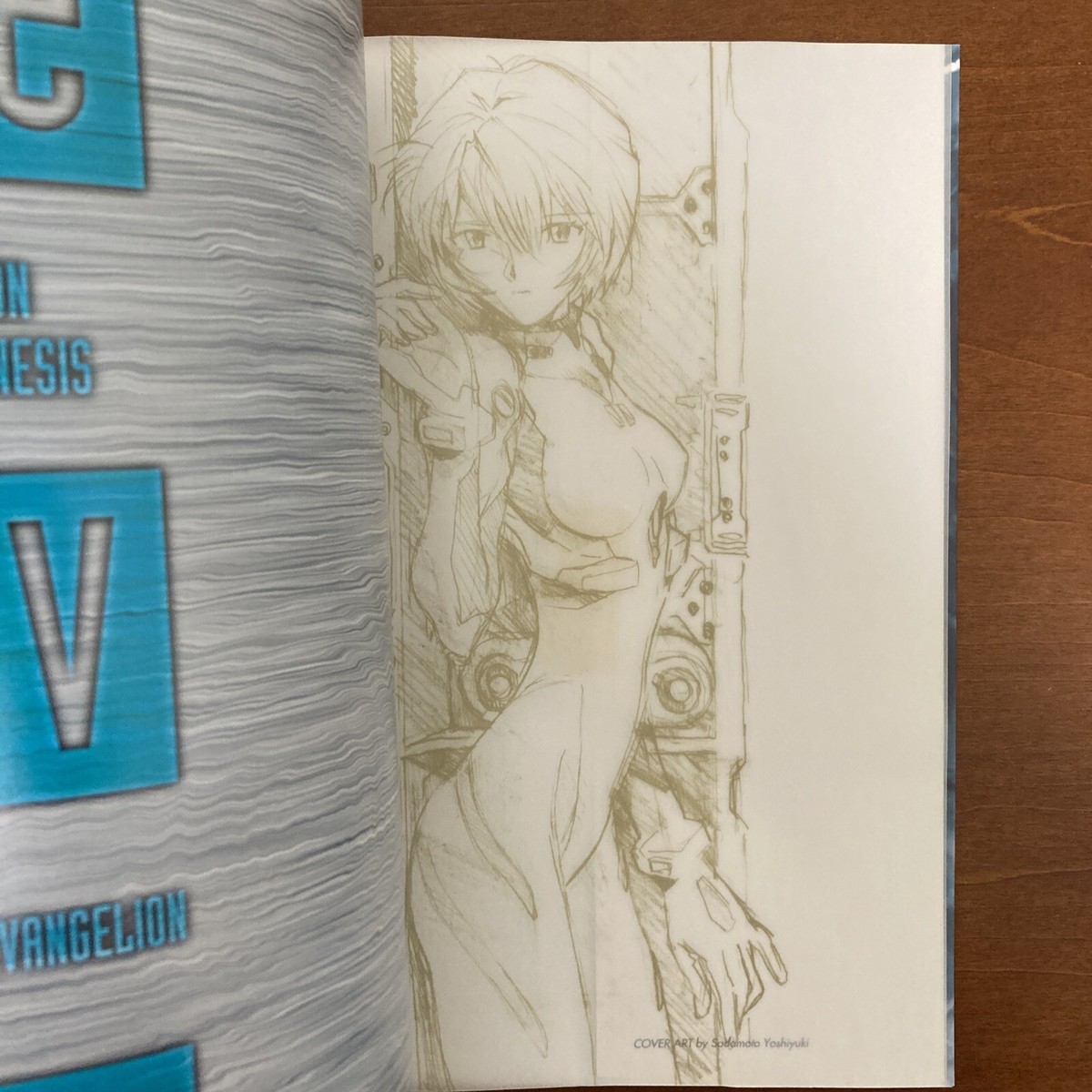 Neon Genesis Evangelion PHOTO FILE eve Art Book illustration | eBay