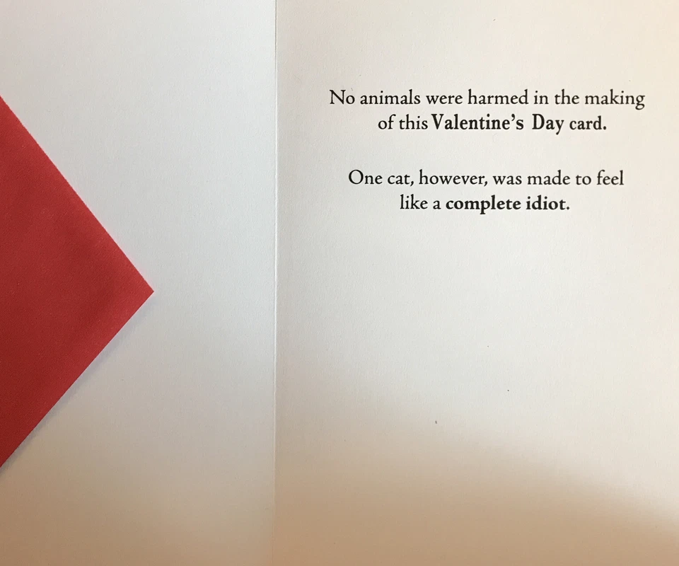 Feliz Día de San Valentín, Gato Divertido en Sombrero de Vaquero, Tarjeta de Felicitación Foto 2 de 3