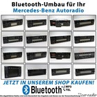 Bild 12 von 12
