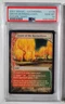 MTG Grove of the Burnwillows PSA 10 GEM MINT Future Sight 2007 Magic Card #176