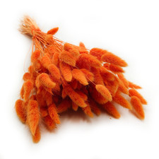 Getrocknete Lagurus - Mandarinen