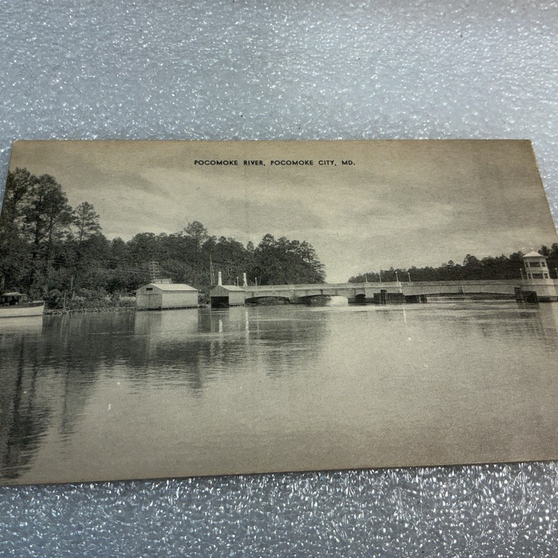 Pocomoke River Pocomoke City Maryland MD Postcard