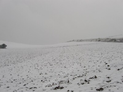 Photo 6x4 Roedean Bottom Lying between Cattle Hill to the right and Red H c2010