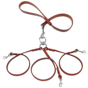 triple dog leash coupler
