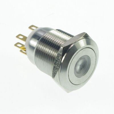 19mm Stainless Steel Dot illuminated Momentory Push Button Switch  1NO 1NC #E2