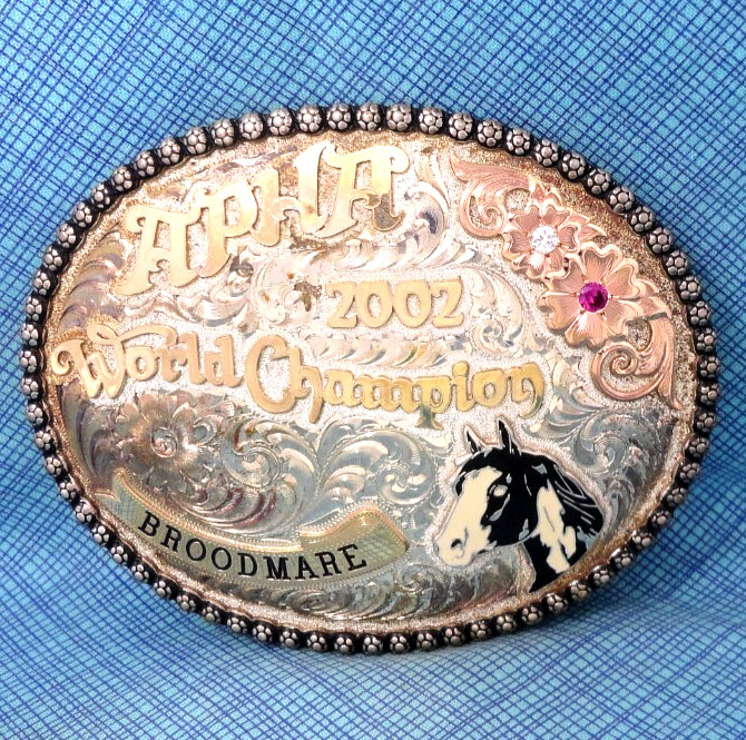 APHA 2002 World Champion Broodmare Belt Buckle SS 10K Overlay Vtg Gist SS.GMP007